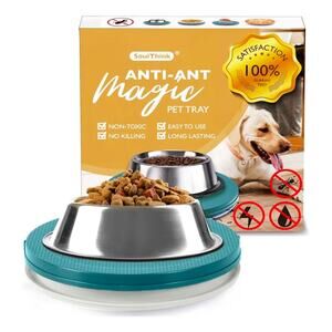 9" Anti Ant Dog Bowl Tray